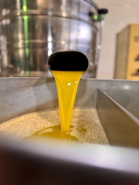 Oliwa Extra Virgin 500 ml, La Muralla, Andaluzja