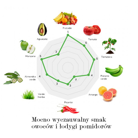 PRZEDSPRZEDAŻ Oliwa Extra Virgin 2 L, Hiszpania