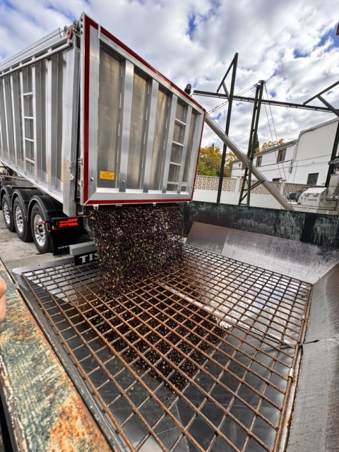 Oliwa Pomace 5L, hiszpańska do smażenia