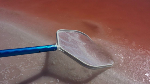 Sól SOSO, kwiat soli morskiej, Mamma 100g