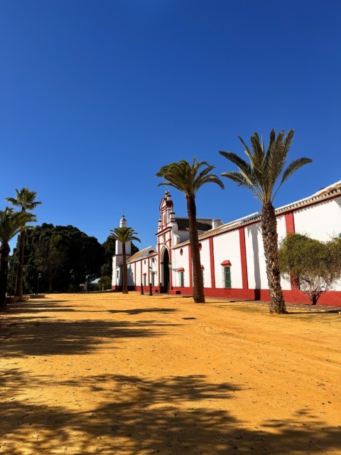 Oliwa Extra Virgin BIO 500ml, Hojiblanca, Hacienda Guzman, Hiszpania