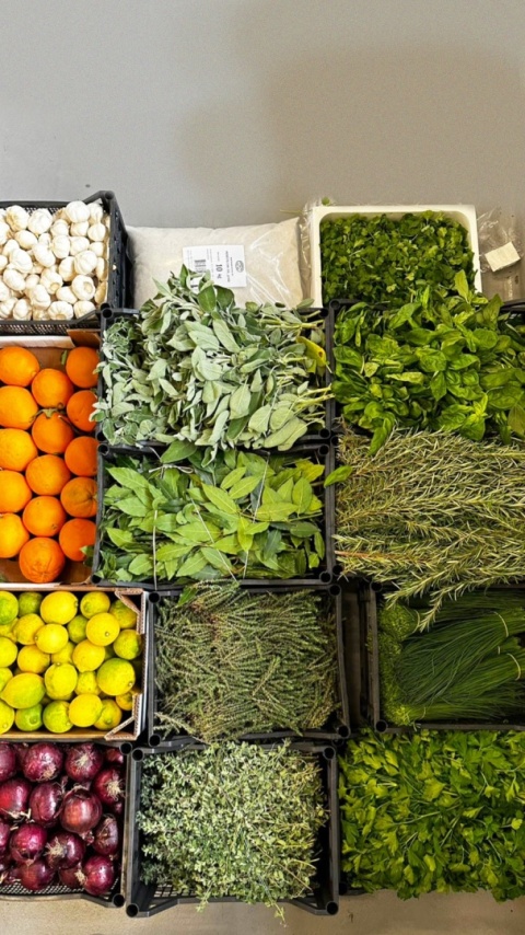 Oliwa cytrynowa 250 ml, bez dodatku aromatów