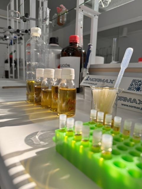 Oliwa z pierwszego tłoczenia, Vallejo 5L, Hiszpania, kwasowość <0,17