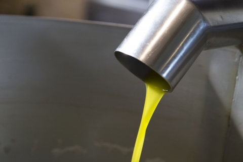 Włoska oliwa Extra Virgin, Ogliarola, 500 ml