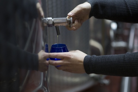 Włoska oliwa Extra Virgin, Ogliarola, 500 ml